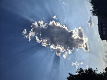Фото девушки