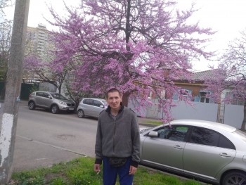 Алексеи, года, Краснодар