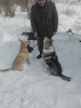 Алексей, лет, Приморский край. г. Лесозаводск.