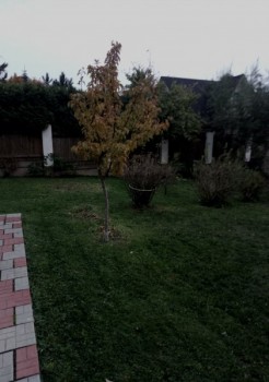 Влад, лет, Красногорск