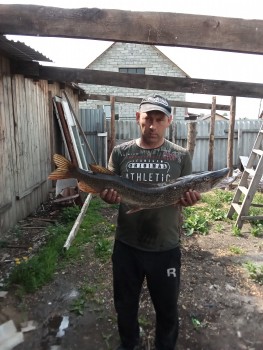 Владимир, год, Далматово