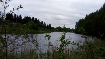 Антон, лет, Долгопрудный