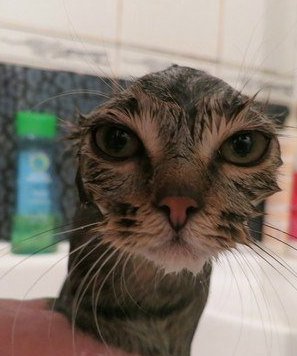 Фото мужчины. Костя