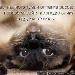 Сергей, лет, 