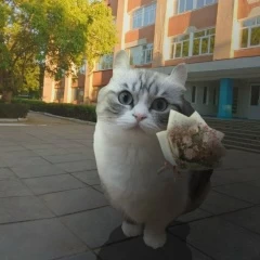 Екатерина, лет,