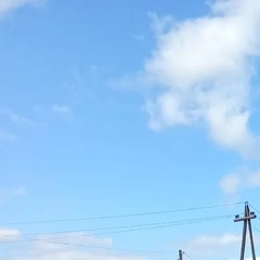 Володя, лет,